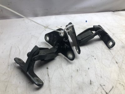 Петля двери BMW X5 2007 E70