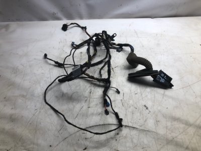 Проводка двери BMW X5 2007 E70