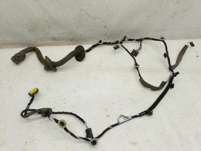 Проводка двери Renault Laguna 2008