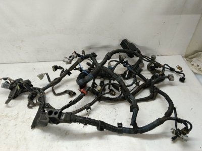 Проводка двигателя Toyota Corolla 2008