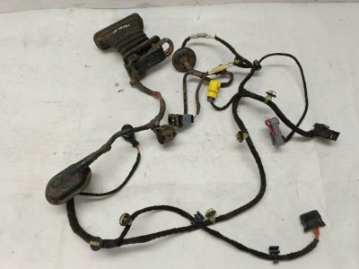 Проводка двери Volkswagen Passat 2009 B6