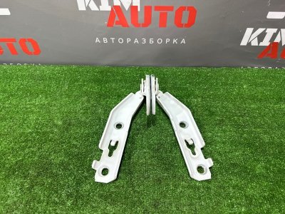 Петля капота Audi A6 quattro 2007 C6