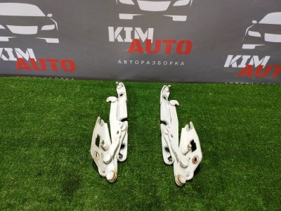 Петля крышки багажника Audi A6 quattro 2007 C6