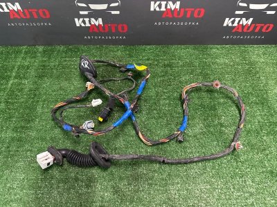 Проводка двери Hyundai Elantra 4 HD 06-11 2007