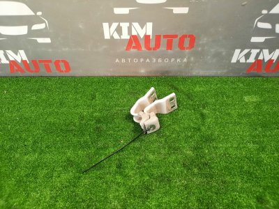 Петли крышки багажника Ford Focus 2 2009 HB