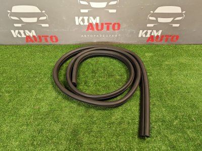 Уплотнитель проема двери Ford Focus 2 2009 HB