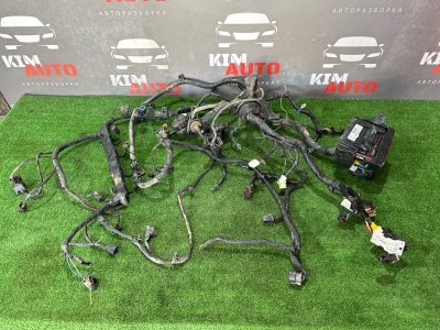 Проводка моторного отсека с блоком предохранителей Kia Rio 3 HB 2013