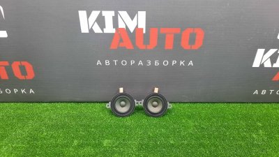 Динамик двери Infiniti QX50 J55 2019