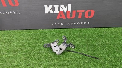Петля двери Hyundai ix35 2012