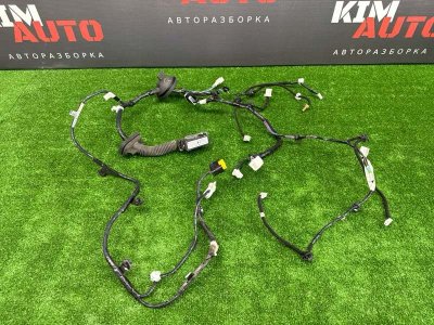 Проводка двери Infiniti QX50 J55 2019