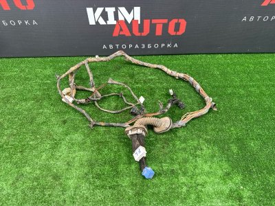 Проводка двери передней левой Hyundai Tucson 2007 JM