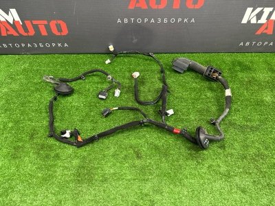 Проводка двери Kia Cerato 4 2019 BD