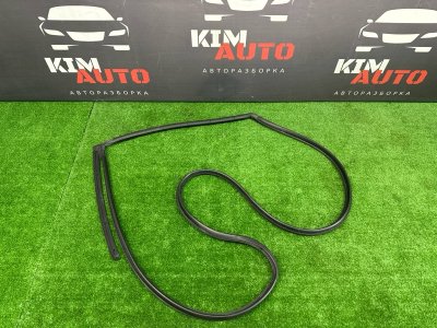 Уплотнитель двери Kia Ceed 1 HB 2011 ED