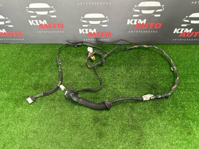 Проводка двери Hyundai Solaris 1 2016 RB
