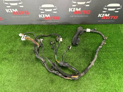 Проводка двери Hyundai Solaris 1 2016 RB