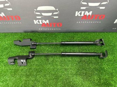Упоры крышки багажника Kia Rio X 2021