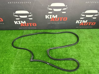 Уплотнитель двери Kia Ceed 1 HB 2011 ED