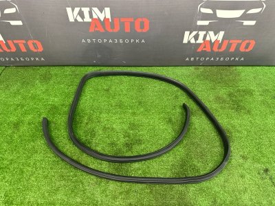 Уплотнитель проема двери Kia Cerato 2 2011 TD