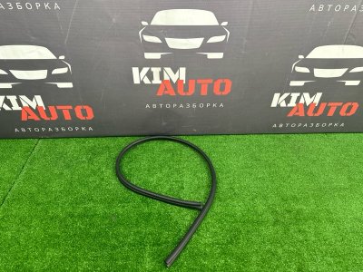 Уплотнитель жабо Kia Ceed 1 HB 2011 ED