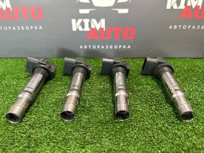Катушка зажигания Volkswagen Polo 2013
