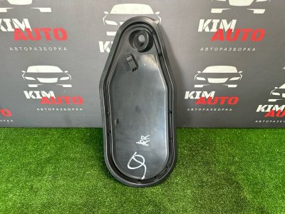 Заглушка двери Skoda Rapid 2016