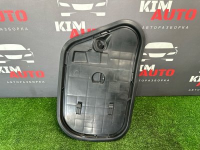 Заглушка двери Skoda Rapid 2016