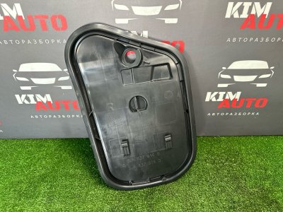 Заглушка двери Skoda Rapid 2016