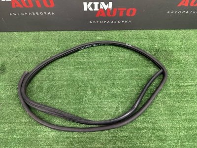 Уплотнитель проема двери Kia Cerato 2 TD 2011