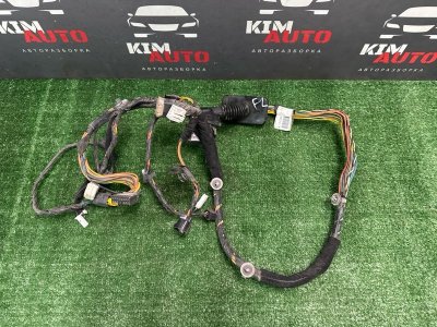 Проводка двери Kia Cerato 2 TD 2011