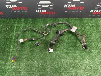 Проводка двери Kia Cerato 2 TD 2011