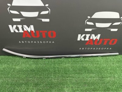 Уплотнитель стекла наружный(Бархотка) Хром Kia Ceed 2 2014 JD