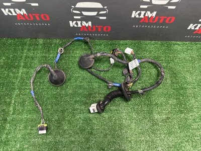 Проводка двери Kia Ceed SW 2010 ED