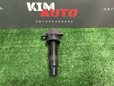 Катушка зажигания Kia Ceed SW 2010 ED