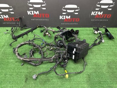 Проводка моторного отсека с блоком предохранителей Kia Rio X 2021