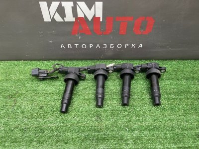 Катушка зажигания (комплект) Kia Ceed 1 HB 2011 ED
