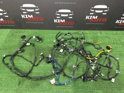 Проводка салона Kia Rio X 2021