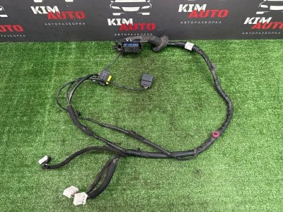 Проводка двери Kia Rio X 2021