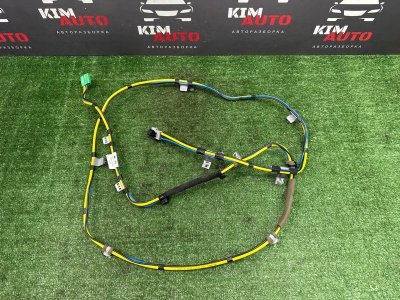 Проводка антенны Kia Rio X 2021