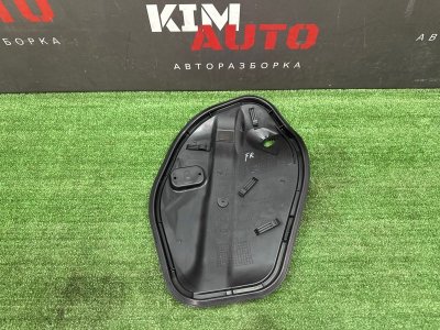 Заглушка двери Volkswagen Polo 2017
