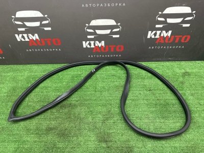Уплотнитель проема двери Kia Rio 4 2019 FB