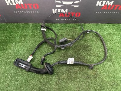 Проводка двери Kia Rio 4 2019 FB
