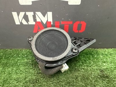 Глонасс Динамик вызова Kia Rio 4 2019 FB