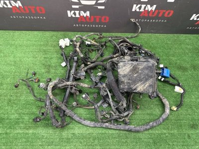 Проводка моторного отсека с блоком предохранителей Kia Ceed 1 HB 2010 ED