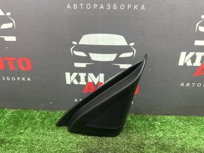 Твиттер зеркала Kia Ceed 1 HB 2010 ED