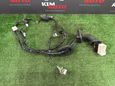 Проводка двери Kia Ceed 1 HB 2010 ED