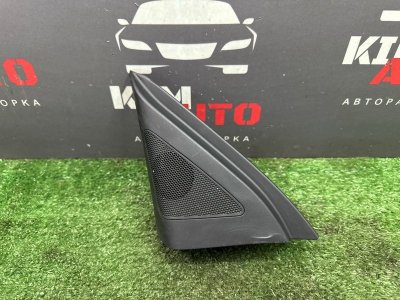 Твиттер зеркала Kia Ceed 1 HB 2010 ED
