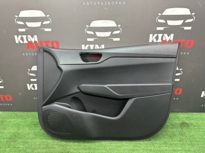 Обшивка двери Hyundai Solaris 2 2020 HCR