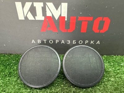 Решетка динамика торпедо Renault Kaptur 2017