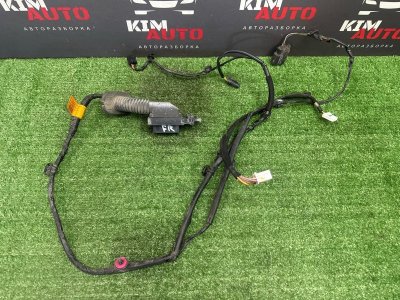 Проводка двери Kia Rio 4 2017 FB