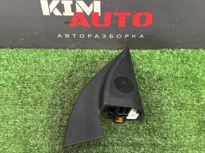 Твиттер зеркала Kia Rio 4 2021 FB
